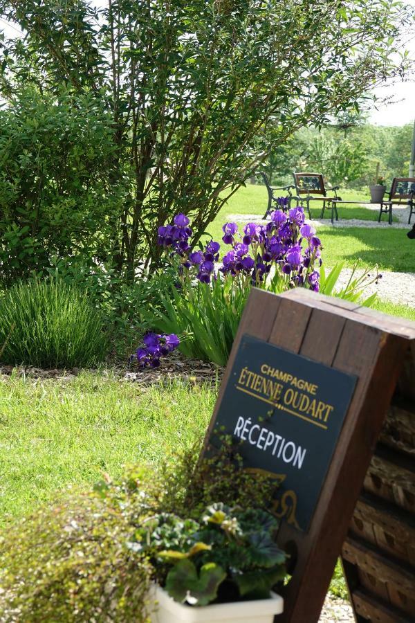 Hotel Le Manoir Des Aromes Brugny-Vaudancourt Exteriér fotografie